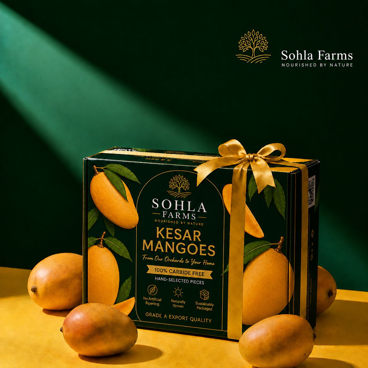 Sohla Farms Kesar Mango gift box, 10kg, carbide-free